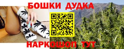 бошки Кингисепп