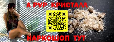 бошки Кингисепп