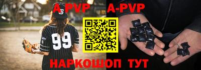 бошки Кингисепп