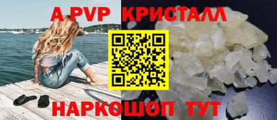 бошки Кингисепп
