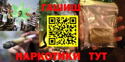 бошки Кингисепп