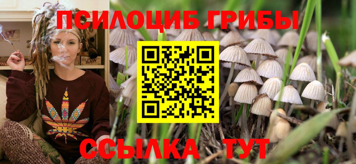 Галлюциногенные грибы ЛСД Чернушка
