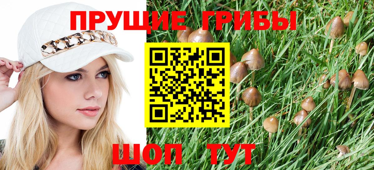 Чернушка  Псилоцибиновые грибы GOLDEN TEACHER  Вход с VPN 